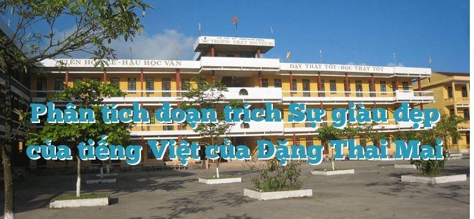 Ảnh minh họa (Nguồn internet)