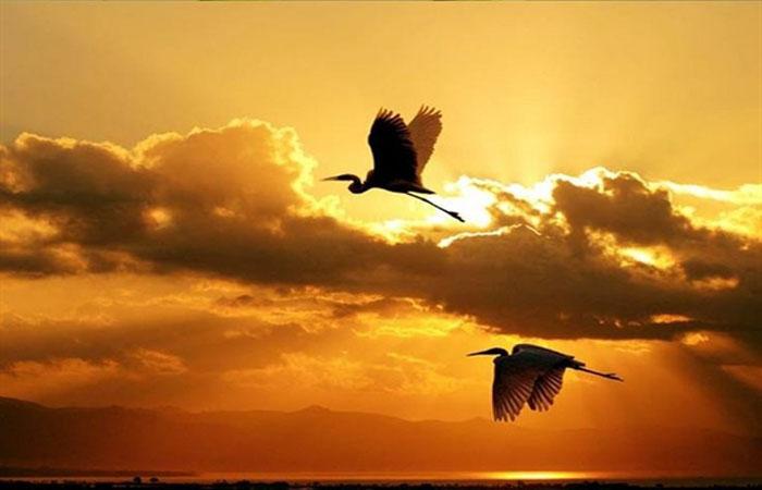 Bài văn phân tích vẻ đẹp cổ điển và hiện đại trong bài thơ 