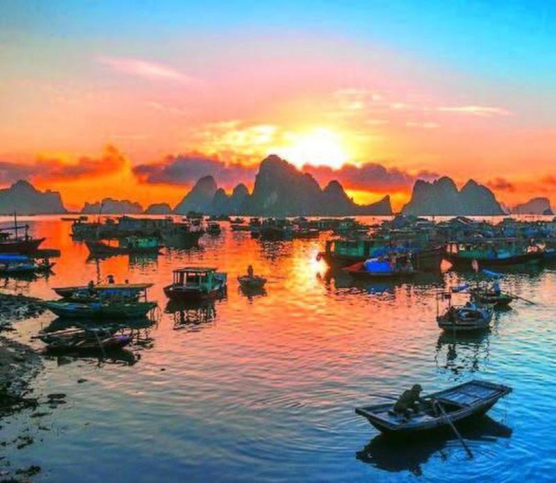 Ảnh minh họa (Nguồn internet)