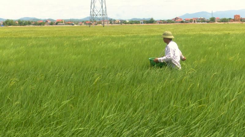 Bài văn tả bác nông dân số 2