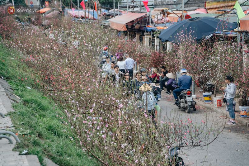 Bài văn tả cảnh chợ hoa ngày tết quê em số  1