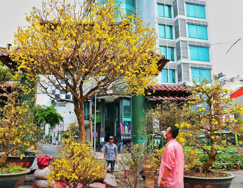 Bài văn tả cảnh chợ hoa ngày tết quê em số 3
