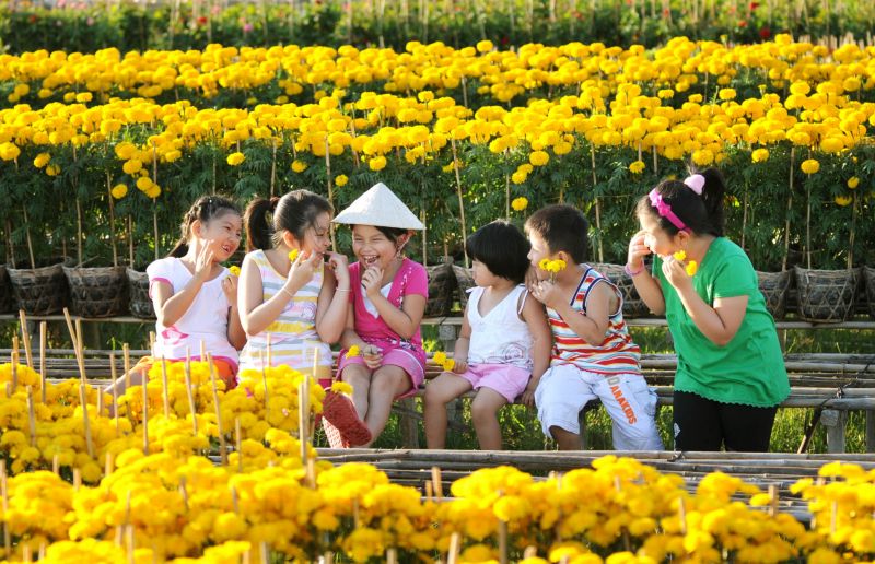 Bài văn tả cảnh chợ hoa ngày tết quê em số 4