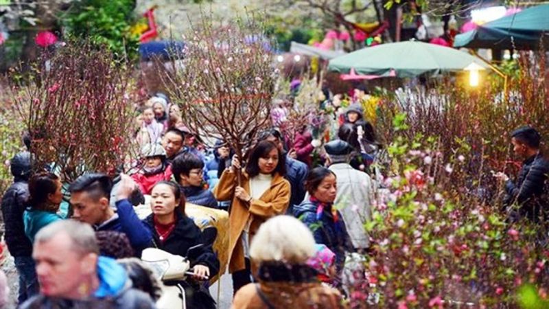 Bài văn tả cảnh chợ hoa ngày tết quê em số 7