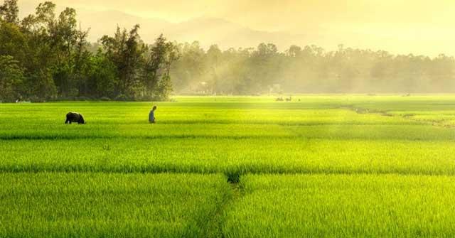 Bài văn tả cảnh đẹp của quê hương em số 3