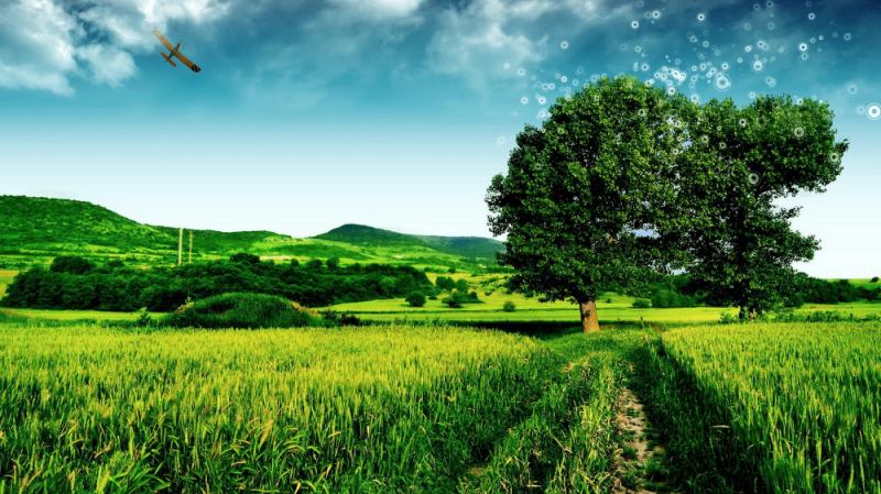 Bài văn tả cảnh đẹp của quê hương em số 3