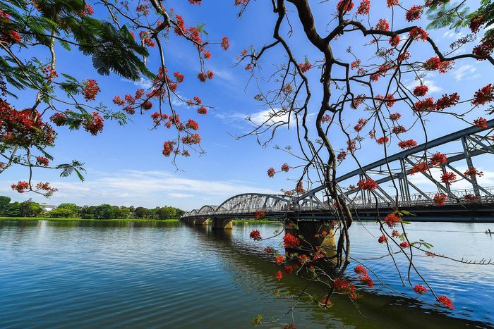Bài viết khoảng lặng số 8