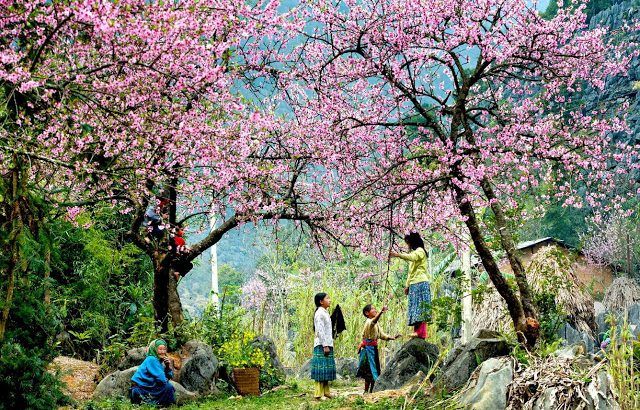 Bài văn tả cảnh một buổi sáng mùa xuân số 1