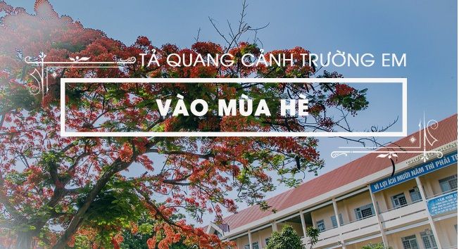 Ảnh minh họa (Nguồn internet)