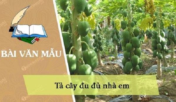 Ảnh minh họa (Nguồn internet)