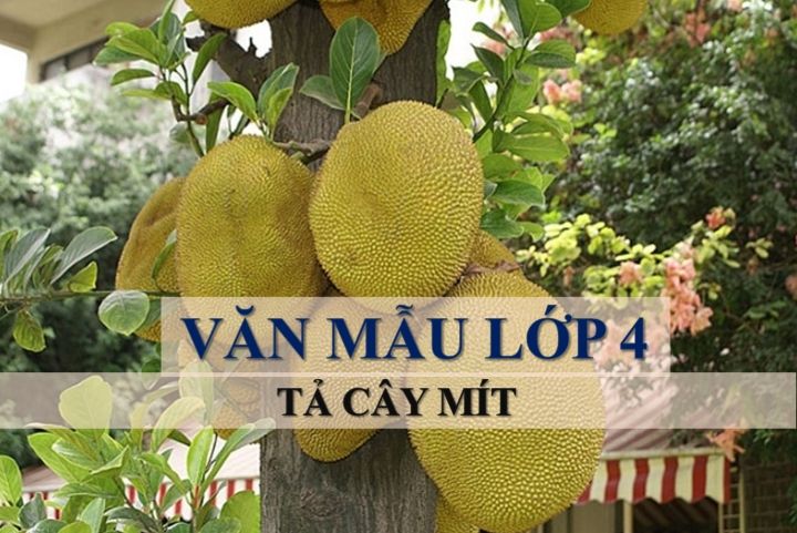 Ảnh minh họa (Nguồn internet)