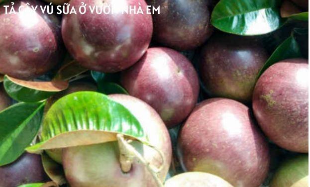 Ảnh minh họa (Nguồn internet)