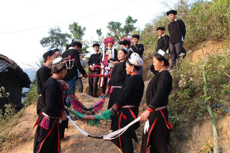 Hình minh họa