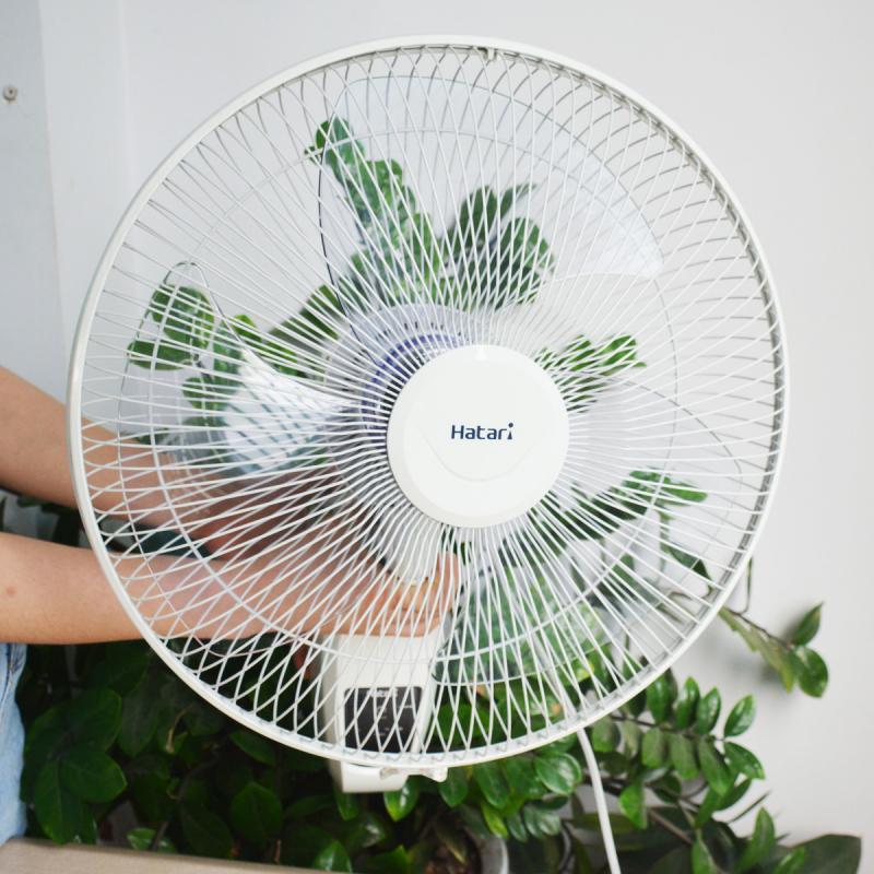 Ảnh minh họa (Nguồn internet)