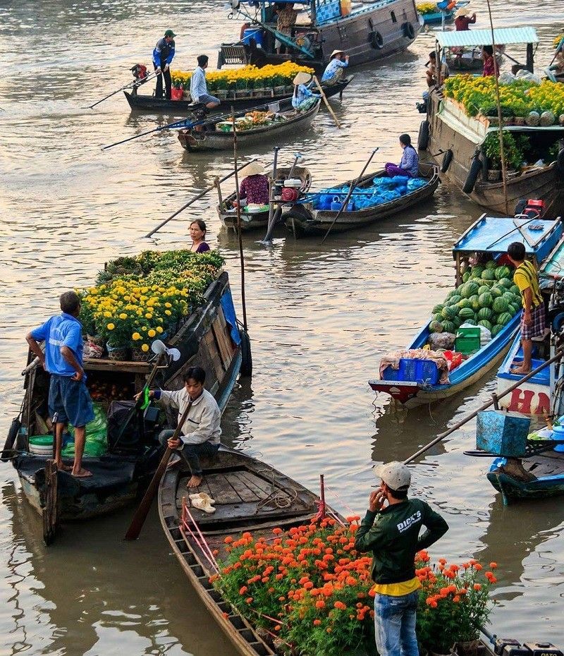 Bài văn thuyết minh về chợ nổi Cái Răng hay nhất - Bài văn mẫu số 5