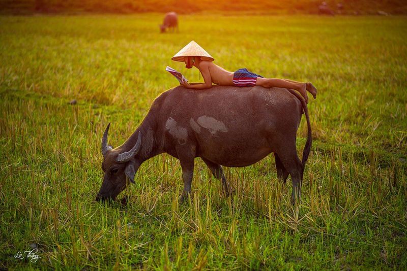 Ảnh minh họa (Nguồn internet)