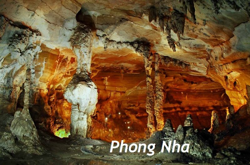 Ảnh minh họa (Nguồn internet)