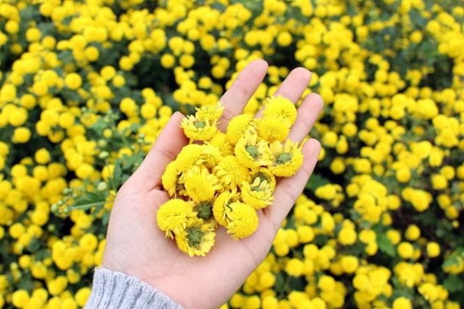 Bài văn tả cảnh mùa thu số 1