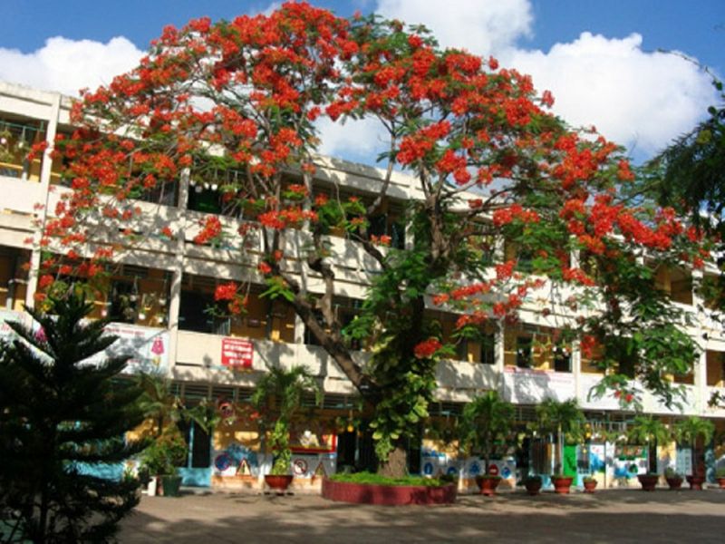 Bài văn thuyết minh về ngôi trường của em số 3