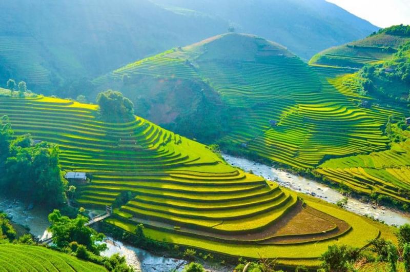 Bài văn thuyết minh về ruộng bậc thang Mù Cang Chải - Bài số 5