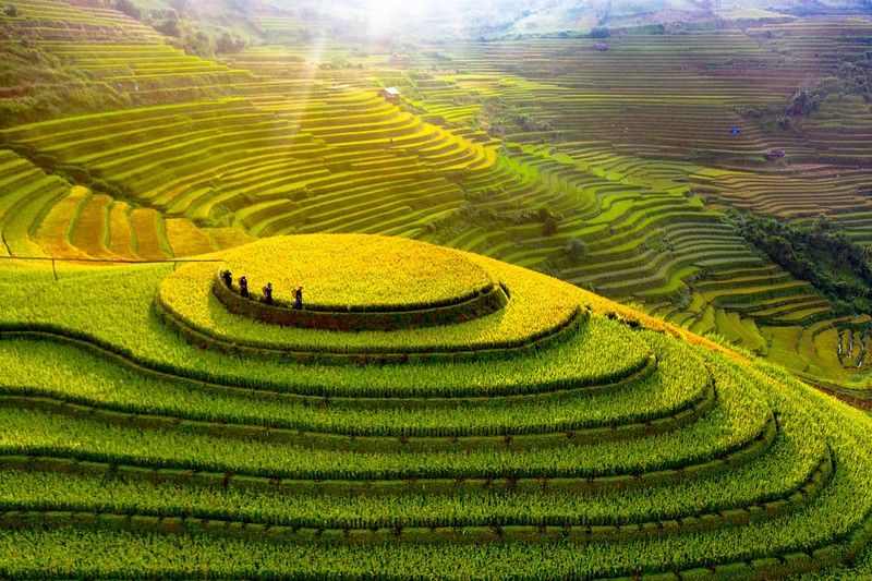 Bài văn thuyết minh về ruộng bậc thang Mù Cang Chải - Bài số 8