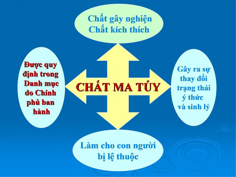 Ảnh minh họa (Nguồn internet)