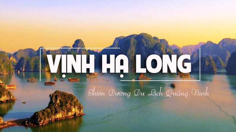 Ảnh minh họa (nguồn internet)