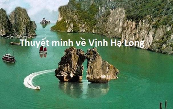 Ảnh minh họa (Nguồn internet)