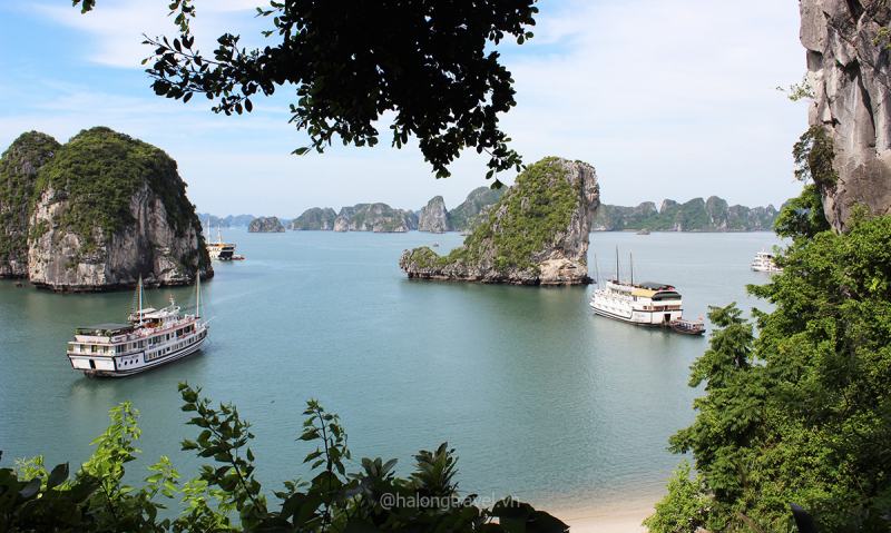 Hình minh hoạ