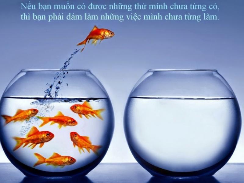 Tương lai của bạn phụ thuộc rất nhiều điều, nhưng chủ yếu là vào chính bạn.-Frank Tyger-