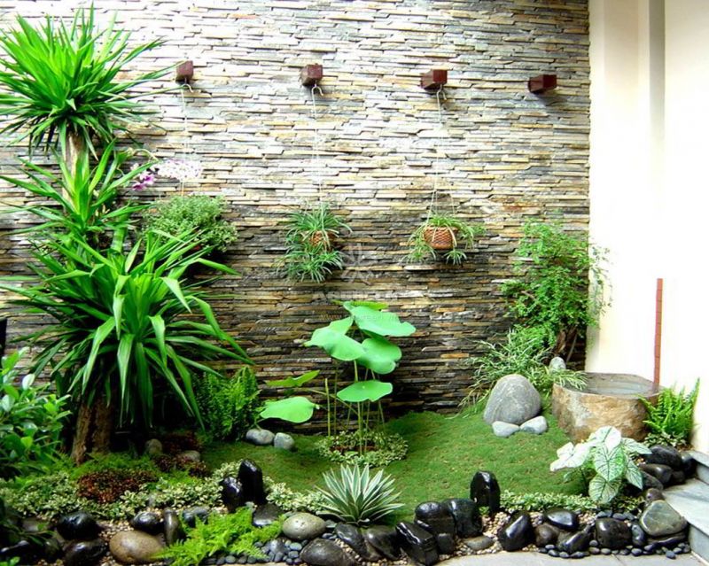 Đất trồng rau sạch tự nhiên