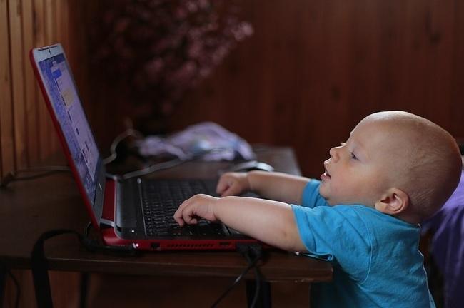 Như một đứa bé, họ sẵn sàng tìm hiểu về mọi thứ xung quanh