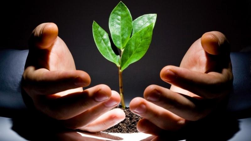 Bạn muốn đầu tư để phát triển kinh tế