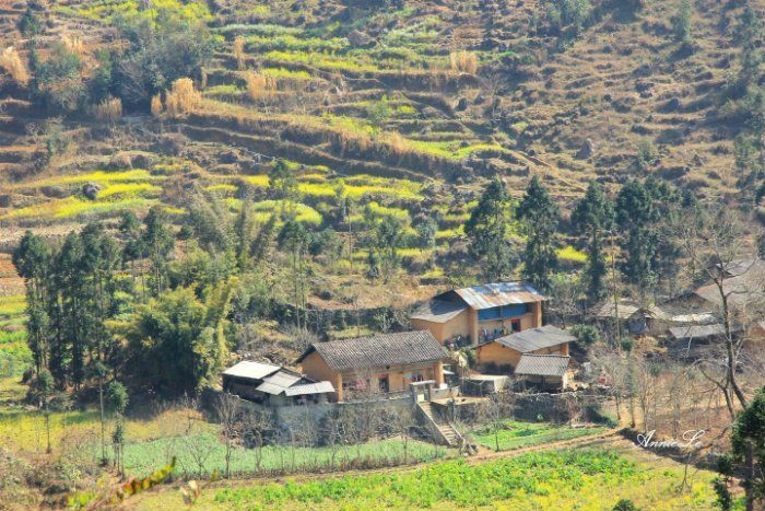 Bản Phó Bảng