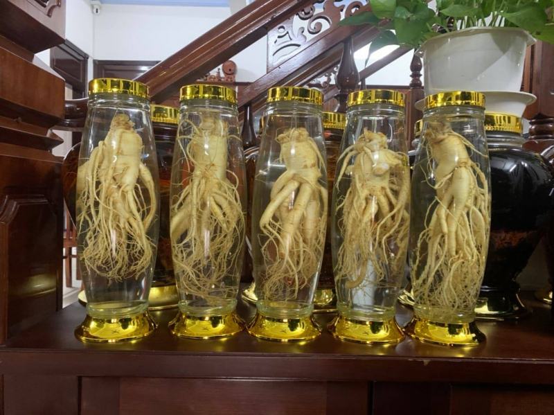 Bán sỉ, lẻ Bình Ngâm Rượu Đà Nẵng