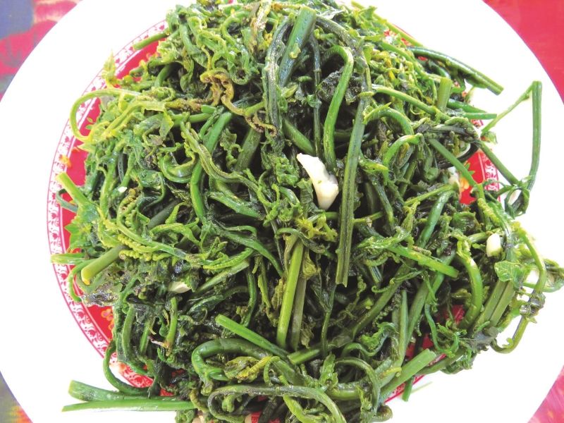 Rau dớn Yên Bái