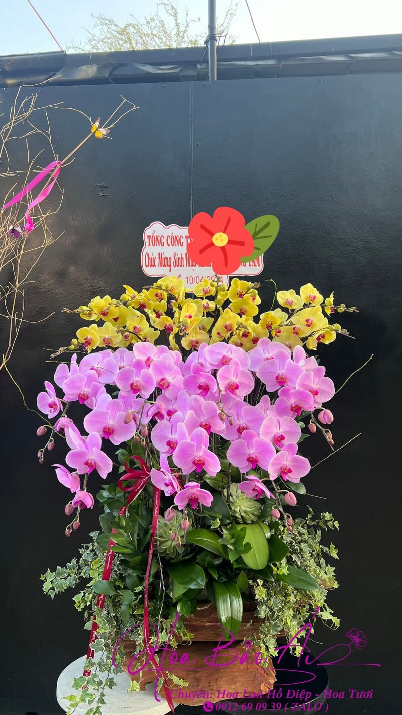 Bảo Ái Orchid’s