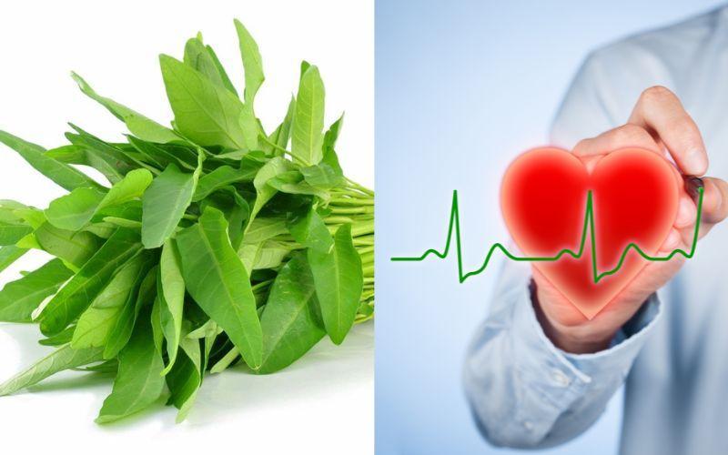 Bảo vệ sức khỏe tim mạch