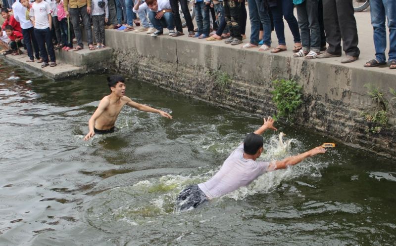 Bắt vịt dưới ao