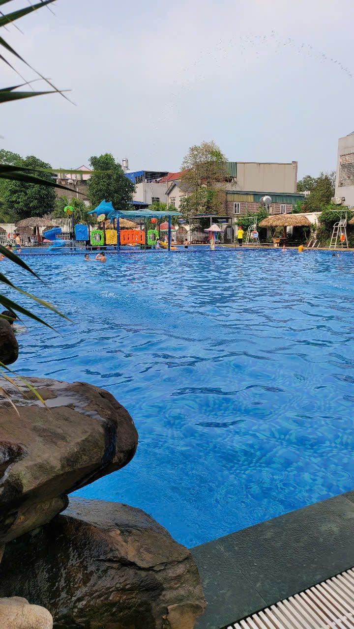 Bể bơi CaliPool