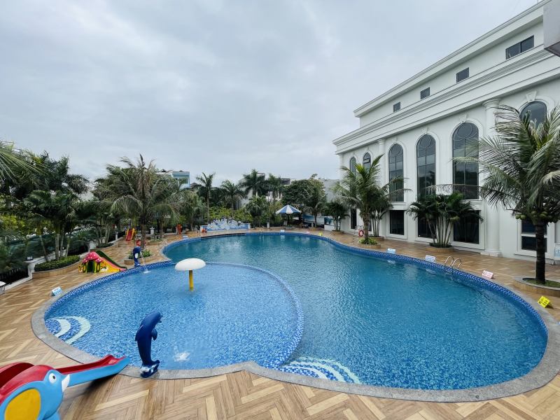 Bể bơi Dolphin