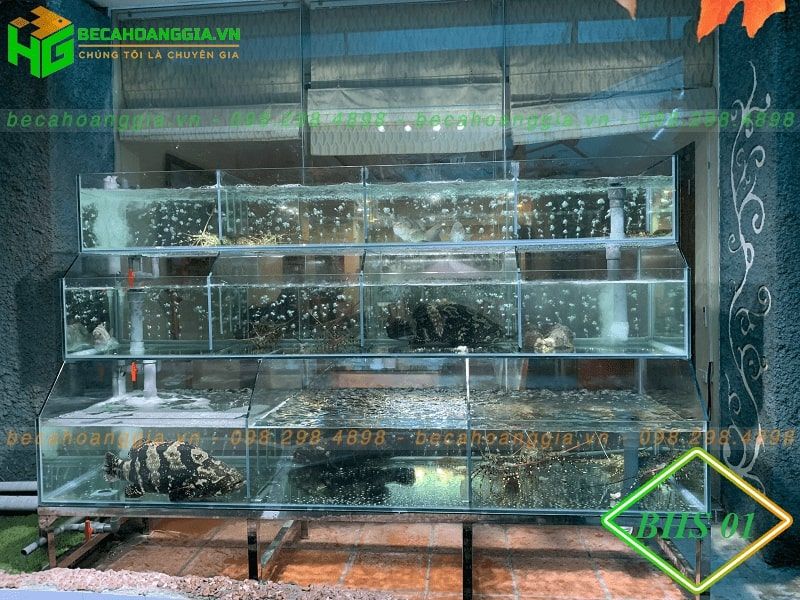 Bế cá Hoàng Gia