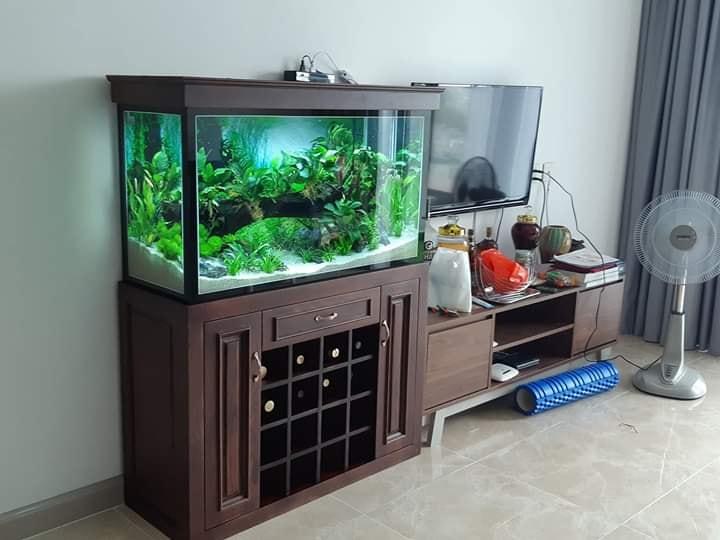 Bể cá phong thủy Hải Phòng