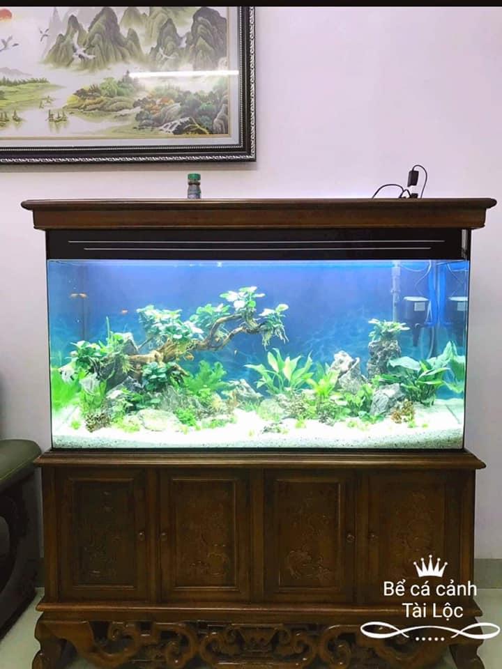 Bể cá