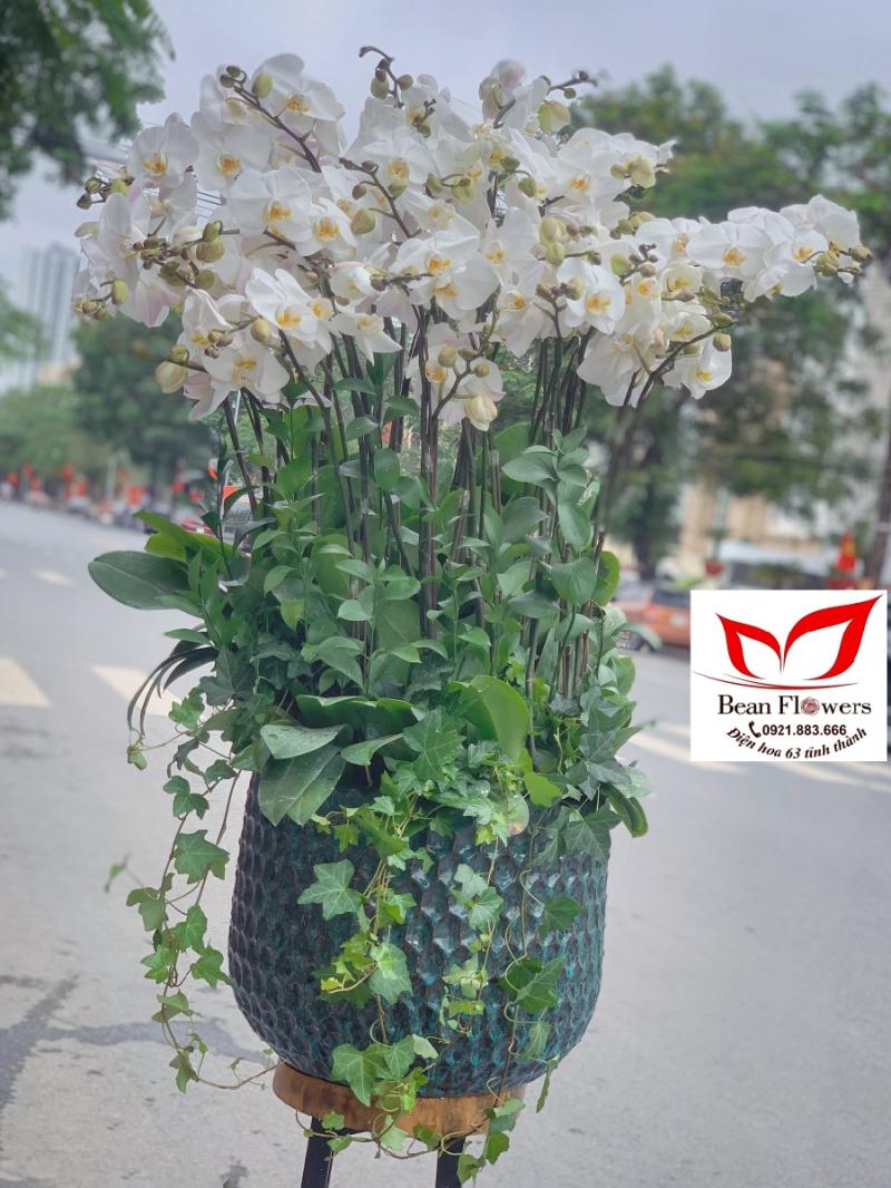 Bean Flowers - Điện hoa Hải Phòng