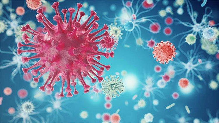 Mô phỏng vi rút HIV