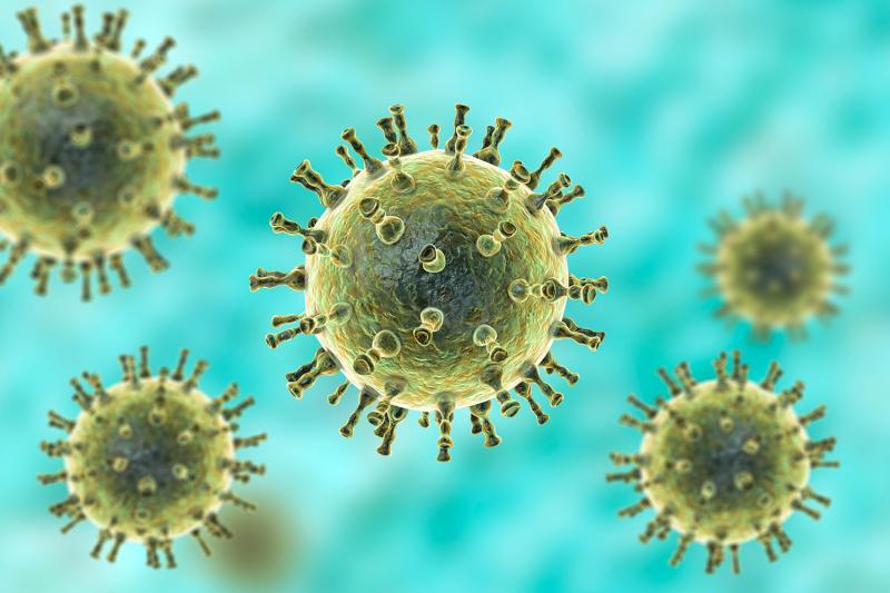Varicella Zoster Virus - Virus thủy đậu