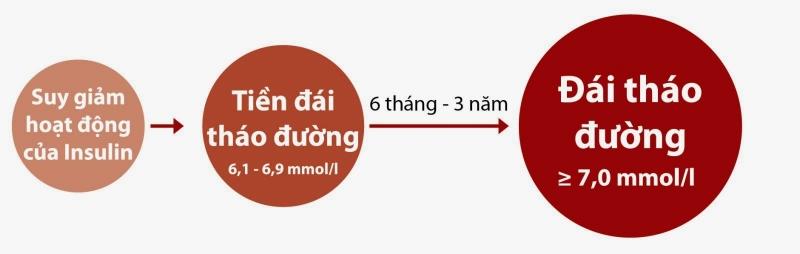 Hoạt động của Insulin quyết định tới căn bệnh tiểu đường của bạn