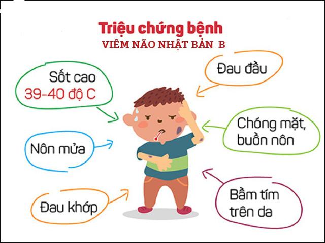 Các triệu chứng của viêm não Nhật Bản