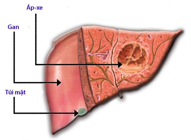 Bệnh viện Đa khoa Hồng Ngọc